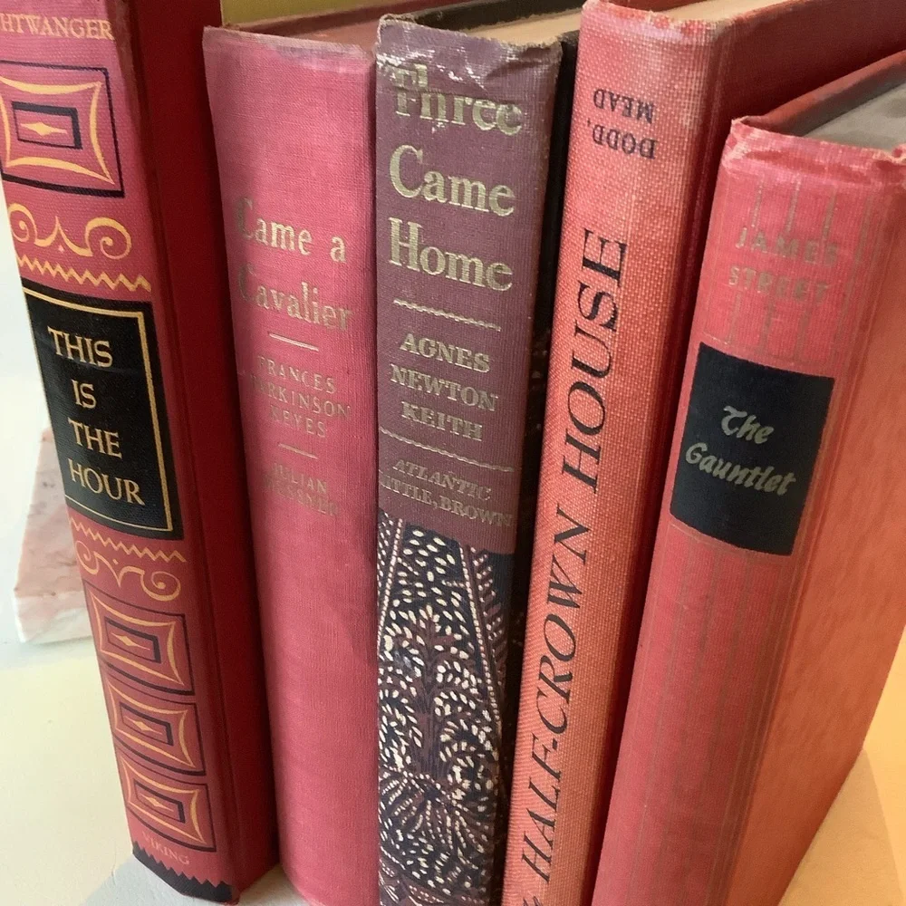 Bundle Lot Antique Vintage Moody Red Hues Books Styling Shelves